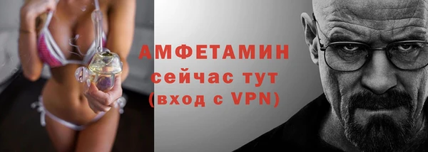 молекула духа Алексеевка