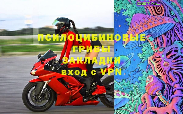 молекула духа Алексеевка