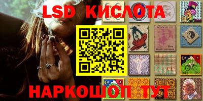 дживик Моздок