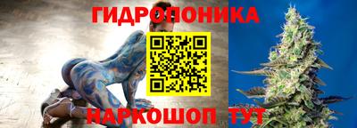 спиды Можга