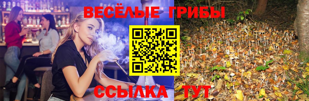 Псилоцибиновые грибы мухоморы Томск